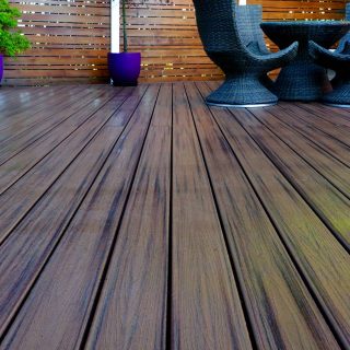 TrexTranscend Spiced Rum