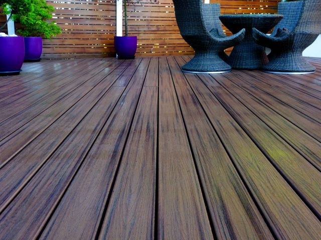 TrexTranscend Spiced Rum